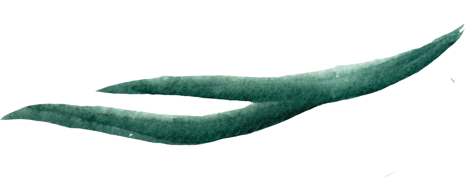 Abstract Painted Strokes